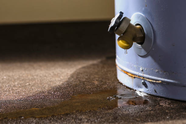 Best Water damage restoration insurance claims  in Whitfield, PA