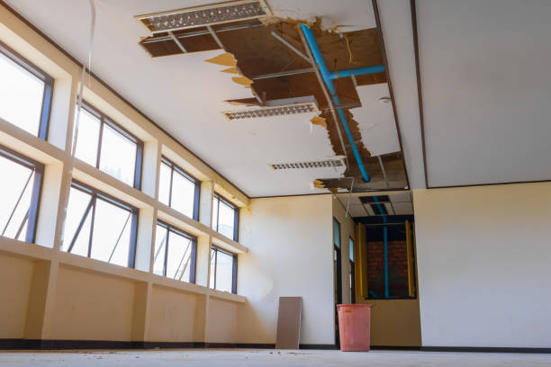 Best Water damage restoration specialists  in Whitfield, PA