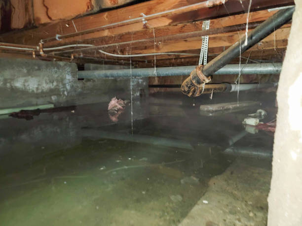Best Residential water damage restoration  in Whitfield, PA