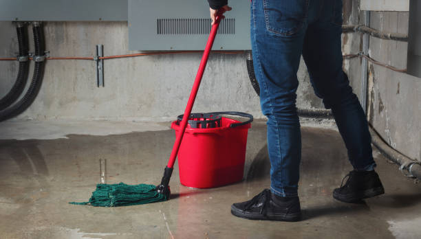 Best Flooded house restoration  in Whitfield, PA