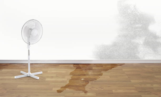 Best 24/7 water damage repair  in Whitfield, PA