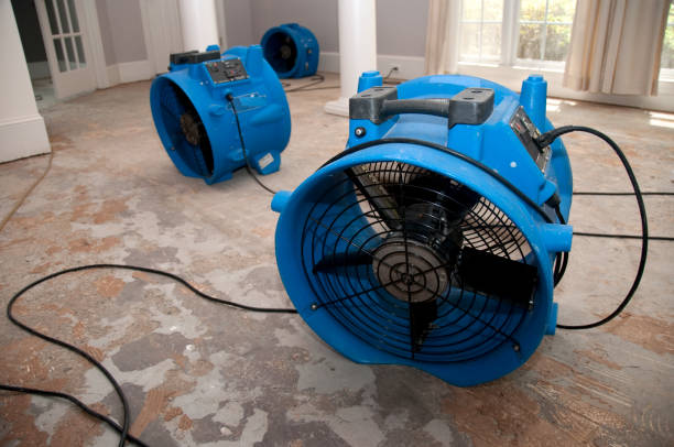 Best Carpet water damage restoration  in Whitfield, PA