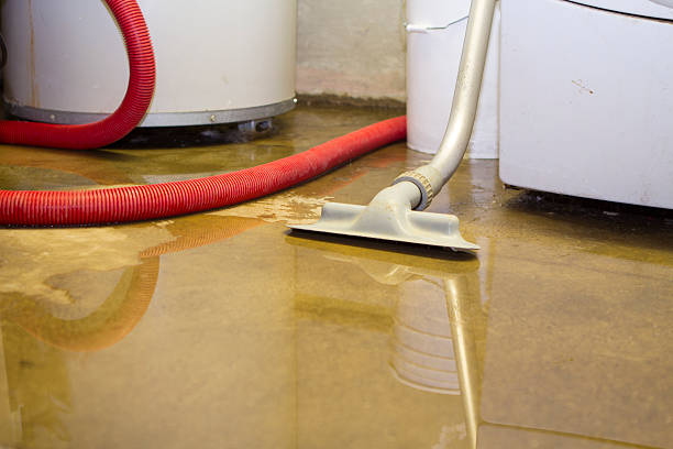 Trusted Whitfield, PA Water damage restoration Experts