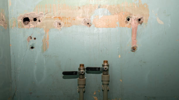 Best Water damage cleanup near me  in Whitfield, PA