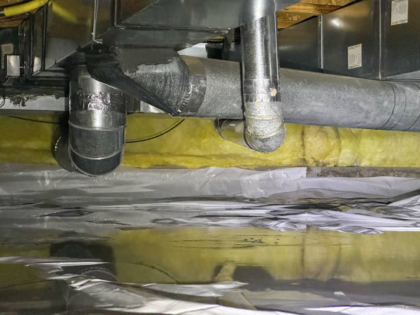 Best Sewage cleanup and water damage restoration  in Whitfield, PA